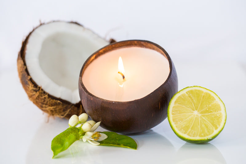 Soy &amp; Coconut Wax Candles &amp; Burners